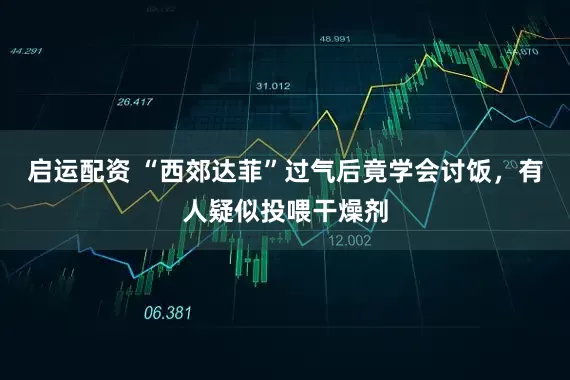 启运配资 “西郊达菲”过气后竟学会讨饭,有人疑似投喂干燥剂