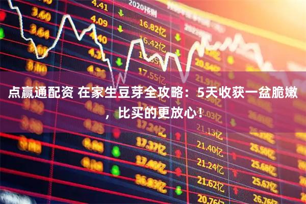 点赢通配资 在家生豆芽全攻略：5天收获一盆脆嫩，比买的更放心！